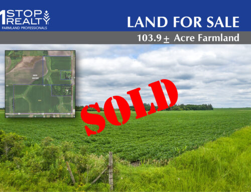 103.9± Acre Farmland | Section 32 | Canisteo Township | Dodge County, MN