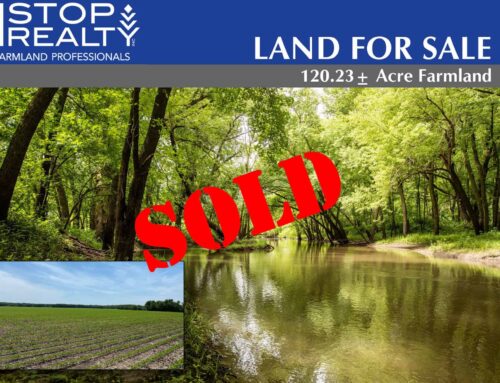 120.23± Acre Farmland | Section 29 Westfield Township | Dodge County, MN