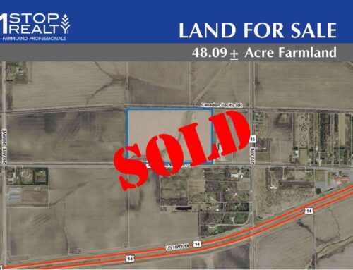 48± Acre Farmland | Section 35 | Mantorville Township | Dodge County, MN