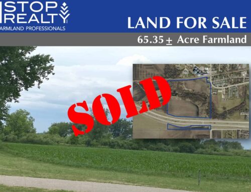 65± Acre Farmland | Section 32 | City of Kasson | Dodge County, MN
